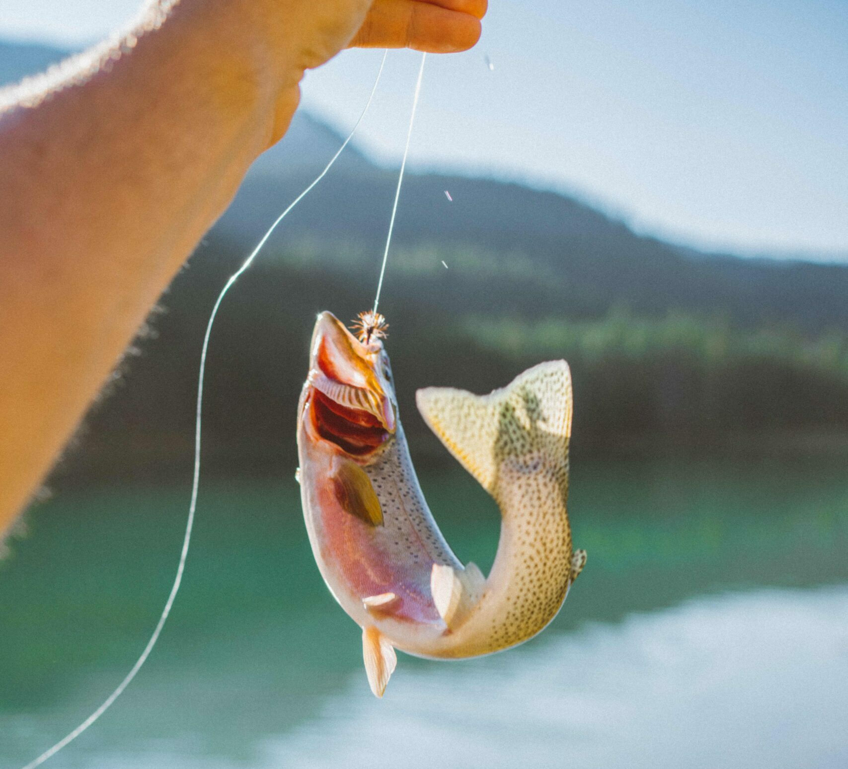 Trout fishing in Montana.